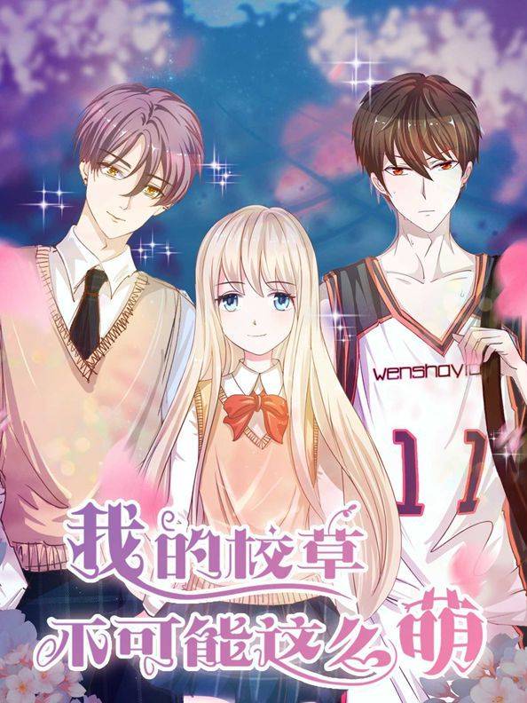 我的校草不可能这么萌漫画封面
