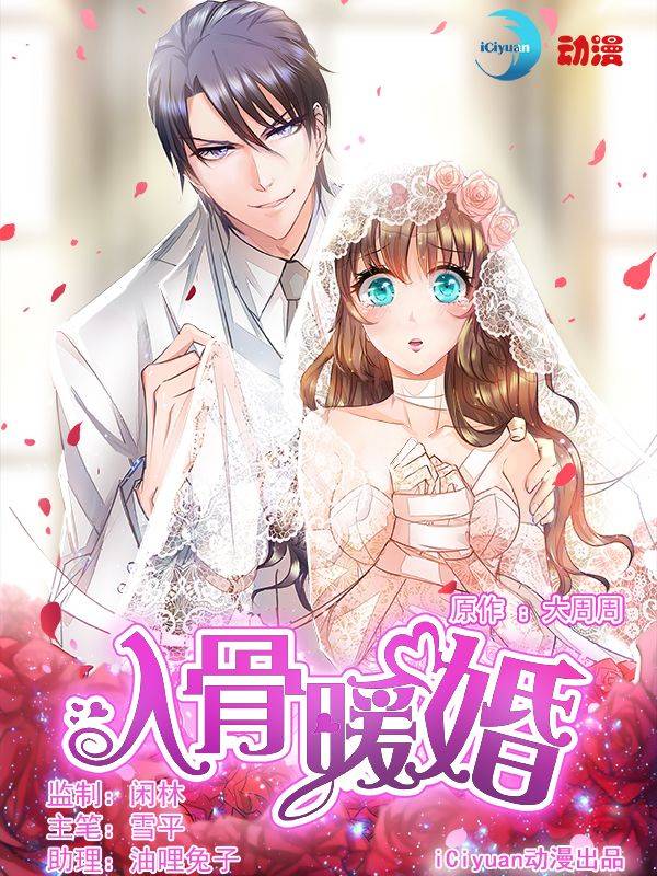 入骨暖婚漫画封面