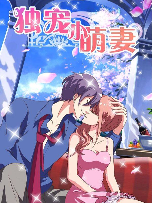独宠小萌妻漫画封面