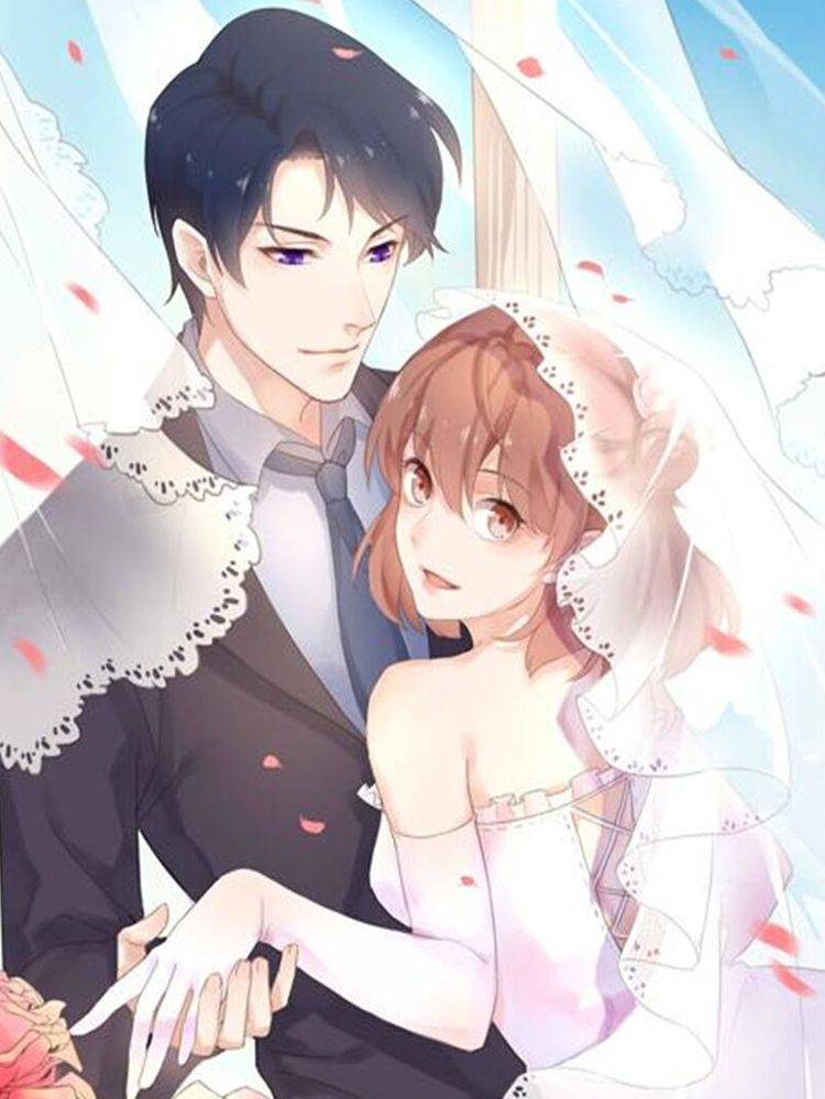 少爷的新娘漫画封面