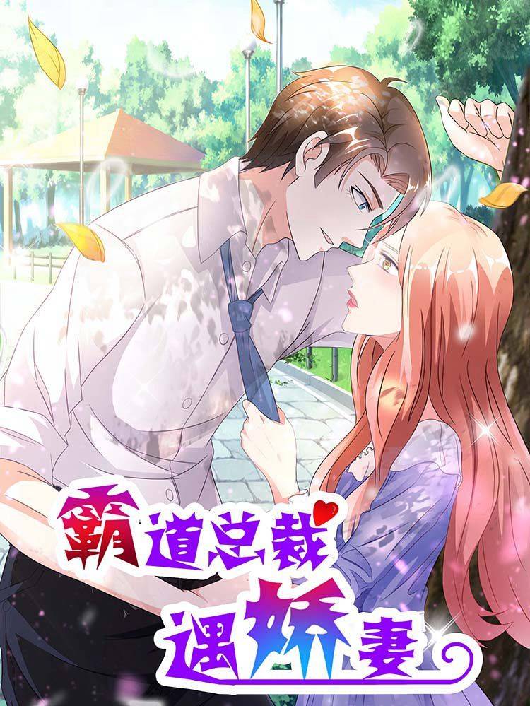 霸道总裁遇娇妻漫画封面
