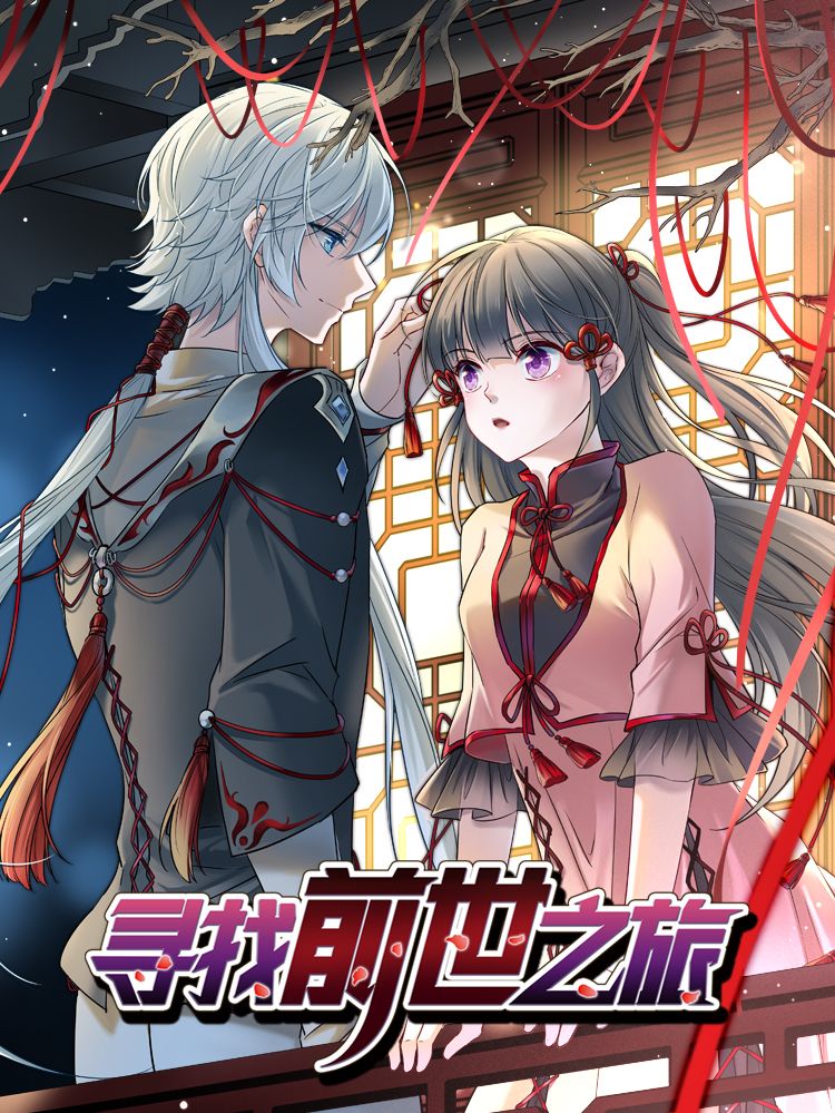 寻找前世之旅漫画封面
