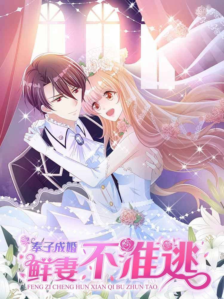 奉子成婚：鲜妻不准逃漫画封面