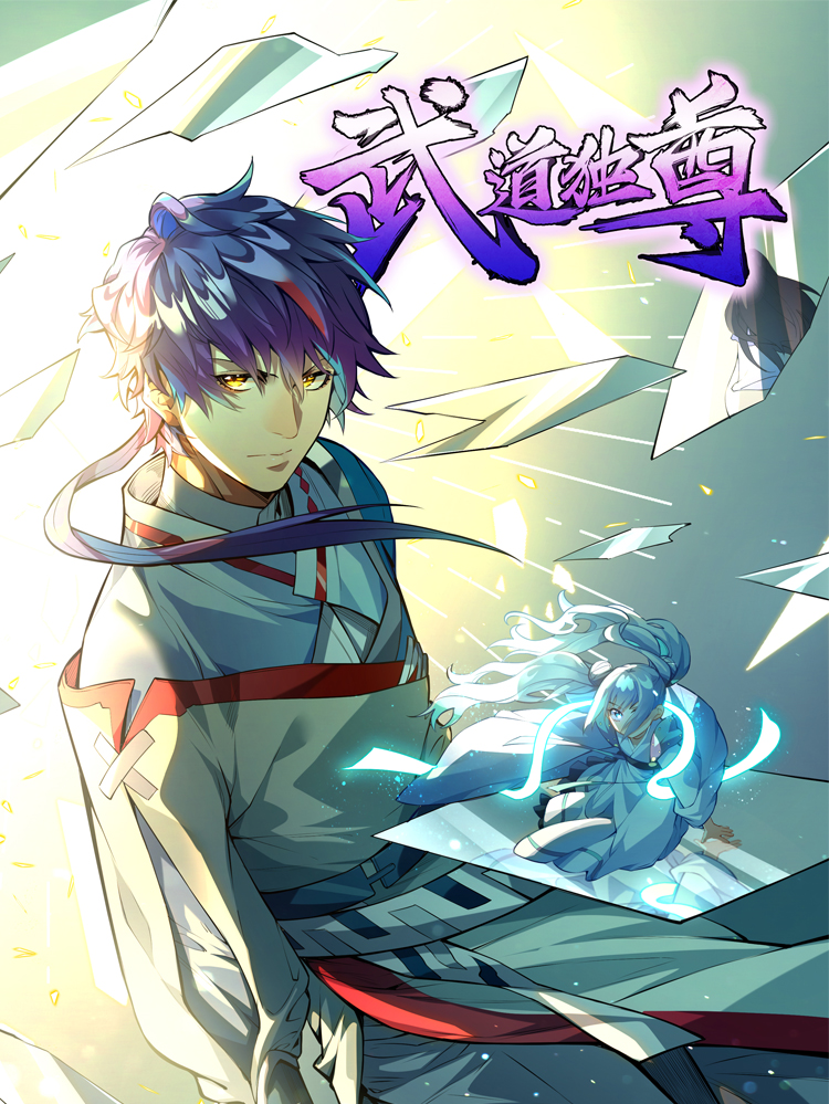 武道独尊漫画封面