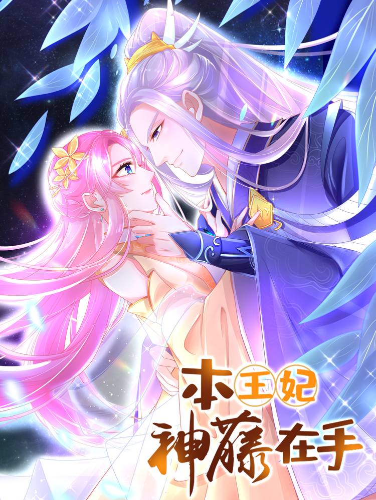 本王妃神藤在手漫画封面